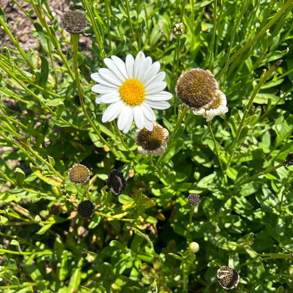 ABOUT ME! - Picture 5 of 7